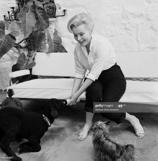Zsa Zsa Gabor feet photo 1