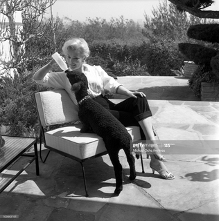 Zsa Zsa Gabor feet photo 13