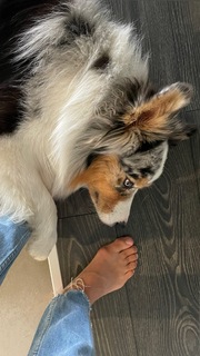 Zsuzsanna Jakabos feet photo 14