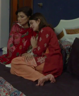 Zubab Rana feet photo 20
