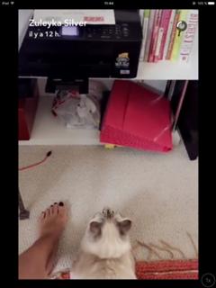 Zuleyka Silver feet photo 14