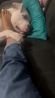 Zully Rodriguez feet photo 10