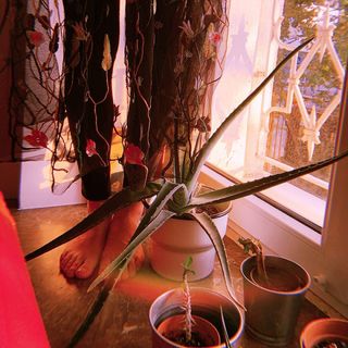 Zuzanna Jurczak feet photo 4