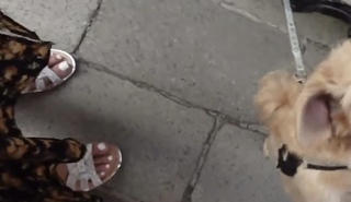 xFibii feet photo thumbnail