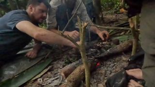 xFibii feet photo thumbnail