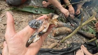 xFibii feet photo thumbnail