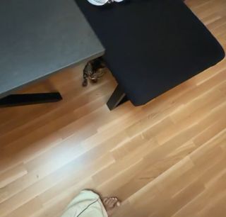 xFibii feet photo 10