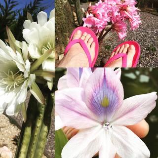 Ángela Prieto feet photo 7