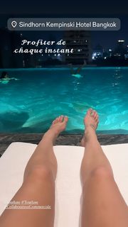 Élodie Gossuin feet photo 14
