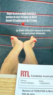 Élodie Gossuin feet photo 13