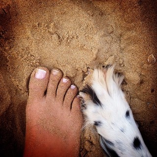 Özge Özberk feet photo 12