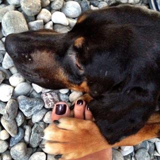 Özge Özpirinççi feet photo thumbnail