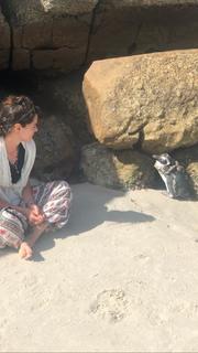 Özge Özpirinççi feet photo thumbnail