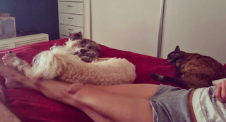 Úrsula Vargues feet photo 10